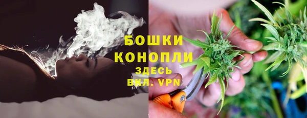 гидра Бугульма